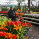 Tong Garden Centre and its cafes were inspected on October 7, 2024. It was rated 5 - Very Good.