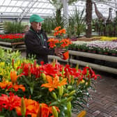 Tong Garden Centre near Leeds. (Pic credit: Tony Johnson)