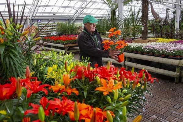 Tong Garden Centre near Leeds. (Pic credit: Tony Johnson)