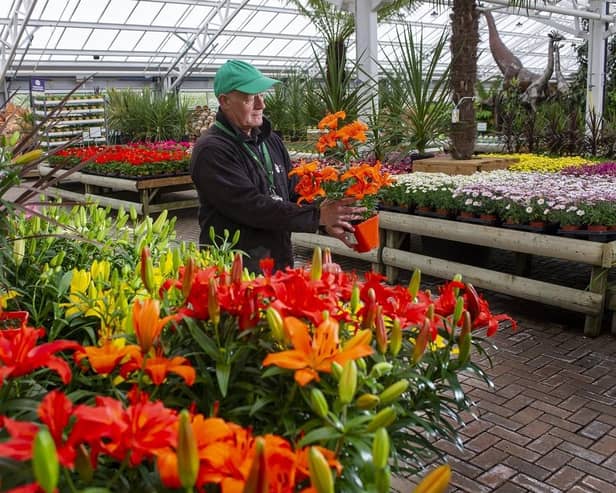 Tong Garden Centre near Leeds. (Pic credit: Tony Johnson)