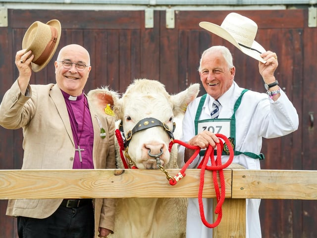 Most Rev'd Stephen Cottrell, Archbishop of York, with Charolais 'Goldstar April' and handler Barney O'Kane from Northern Ireland