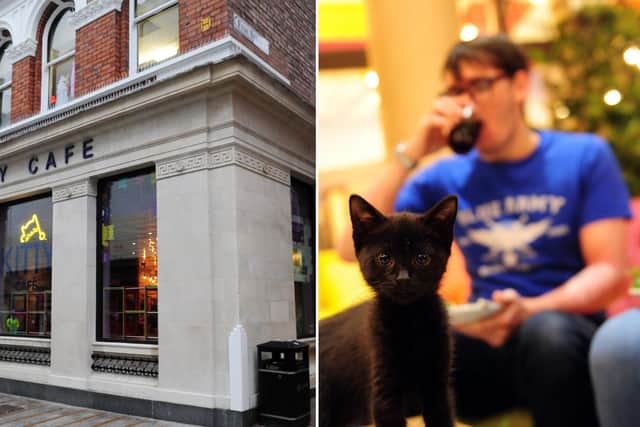 The Leeds Kitty Cafe, in Leeds city centre.