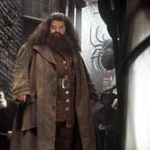 A Warner Bros still image of Robbie Coltrane as Rubeus Hagrid