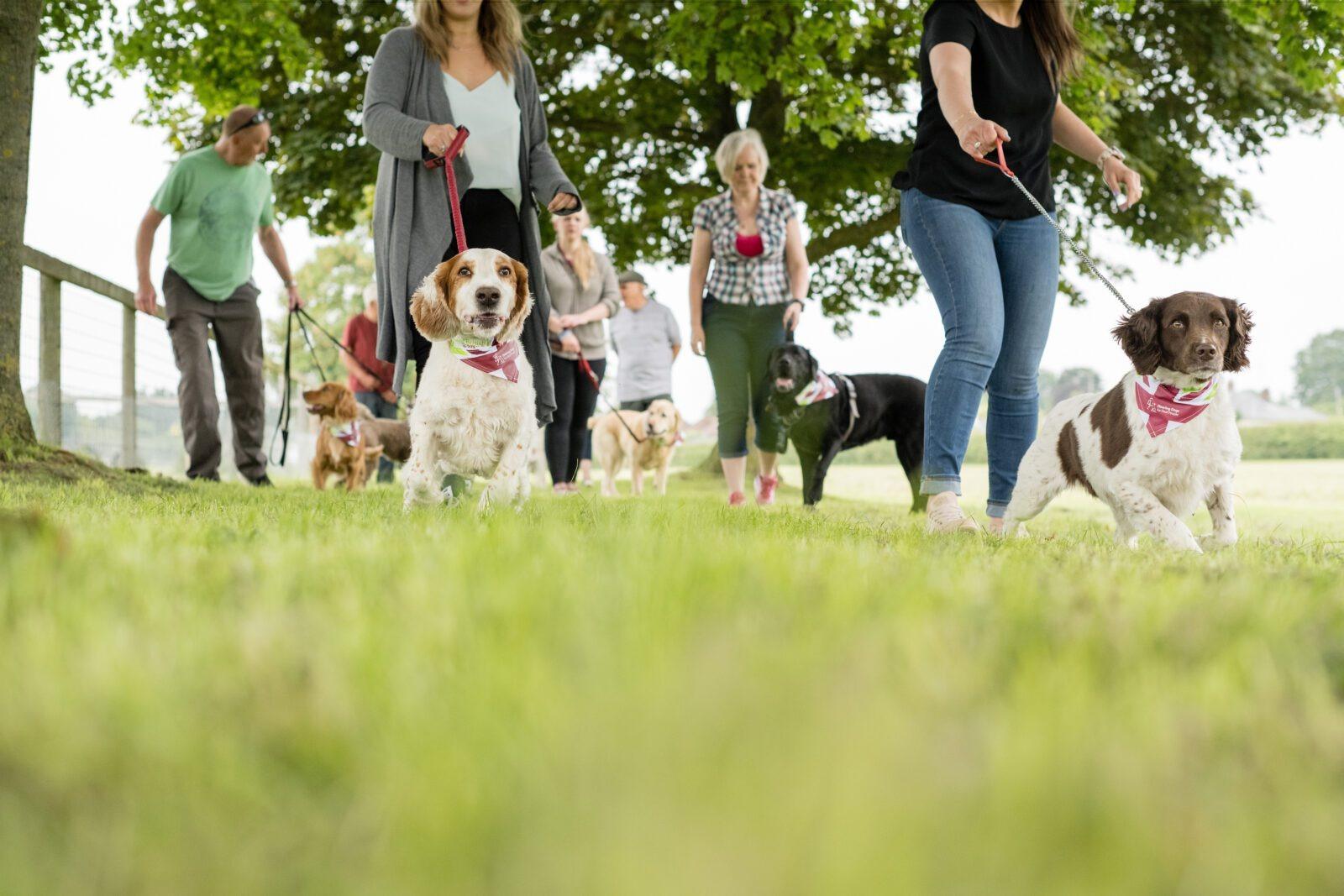 Hundreds of dog walkers gather at Askham Bryan College for the Great British Dog Walk