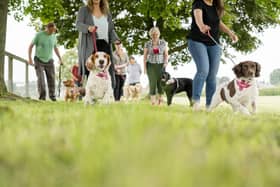 Hundreds of dog walkers to gather at Askham Bryan College on 13th April in aid of Hearing Dogs
