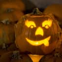 Rats could turn Halloween into a real horror storym eperts have warned