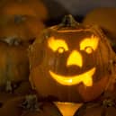 Rats could turn Halloween into a real horror storym eperts have warned