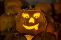 Rats could turn Halloween into a real horror storym eperts have warned