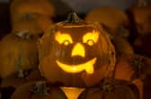 Rats could turn Halloween into a real horror storym eperts have warned
