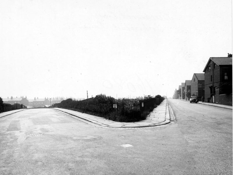Looking south at the junction of St. Michael's Lane and Beechwood Crescent in August 1948. Allotments can be seen between the two roads with houses in the background.
