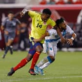 Colombias Luis Sinisterra (L) fights for the ball with Guatemalas Jose Morales (R) during the international friendly football match between Colombia and Guatemala at Red Bull Arena in Harrison, New Jersey, on September 24, 2022. (Photo by Andres Kudacki / AFP) (Photo by ANDRES KUDACKI/AFP via Getty Images)