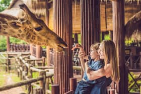 As lockdown restrictions are being eased across England, people are enjoying being able to meet with friends and family outdoors (Photo: Shutterstock)