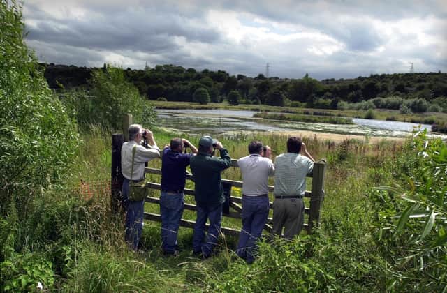 Birdwatchers get a rare chance to see the Marbled Duck at Rodley Nature Reserve.