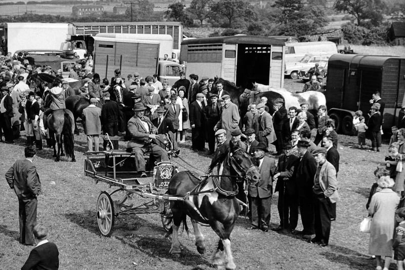 A horse and cart is shown off to part of the large crowd at Lee Gap Horse Fair in August 1964.