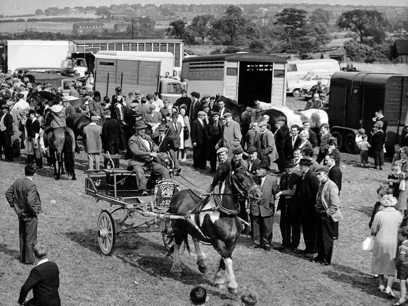 A horse and cart is shown off to part of the large crowd at Lee Gap Horse Fair in August 1964.