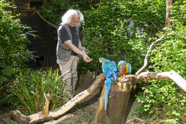 Bird keeper Peter Stubbs feeds the blue and gold macaws at the bird garden at Harewood House, 2020.