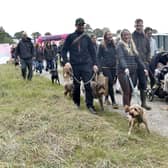A dog walk raised money for Dogs Trust.