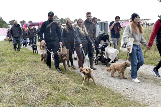 A dog walk raised money for Dogs Trust.