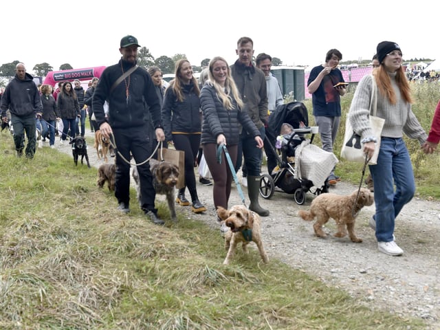 A dog walk raised money for Dogs Trust.