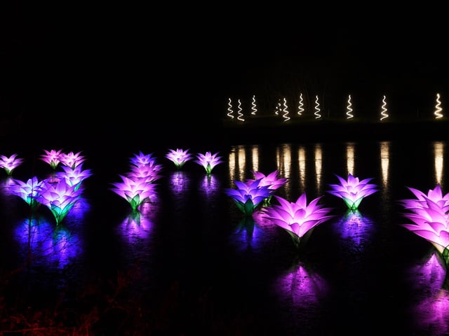 Vistiors can expect a flickering fire garden through to wild wicker sculptures and magical light installations.