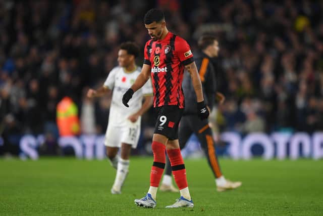 FRUSTRATION: For AFC Bournemouth star Dominic Solanke, above, pictured after Saturday's 4-3 defeat at Leeds United in which his strike had put the Cherries 3-1 up.
Photo by Harriet Lander/Getty Images.