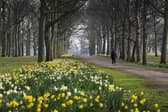 Temple Newsam