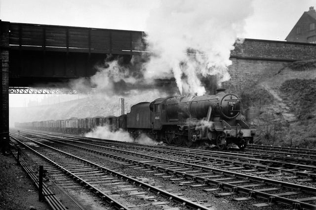 Class 8F 2-8-0 No. 48643 on eastbound, freight train of coal, Marsh Lane Cutting, November 20, 1951.