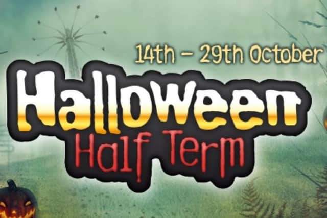 Halloween half term fun at Flamingo Land