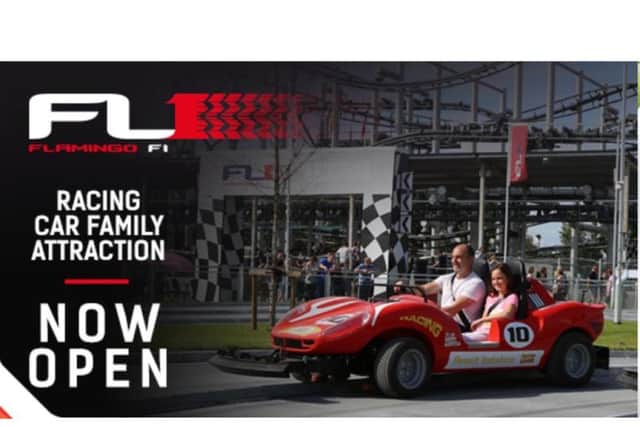 Flamingo 1 race car family attraction