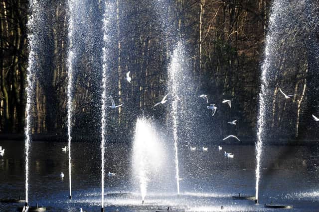 With of 700 acres to explore, including two splendid lakes, Roundhay Park is the perfect place to spend the day outdoors with your family.