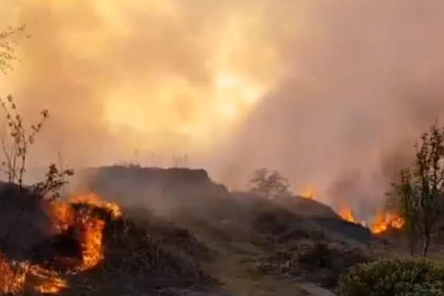 Britain's heatwave sees firefighters battle to fight large fire on Ilkley Moor in Yorkshire. SWNS.