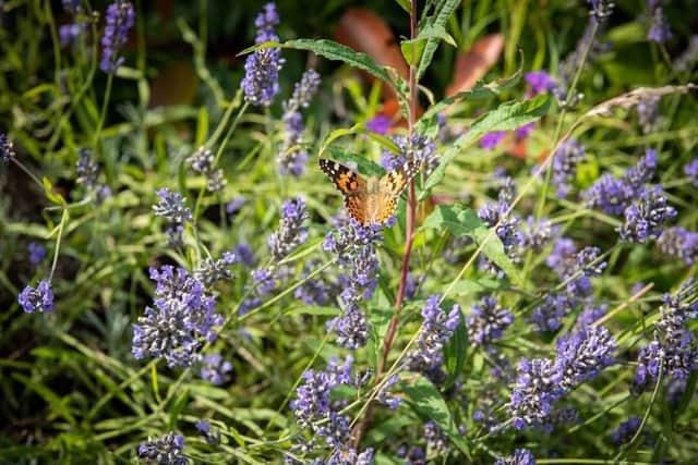 The rolling countryside and natural beauty of Yorkshire will give photographers plenty to work with