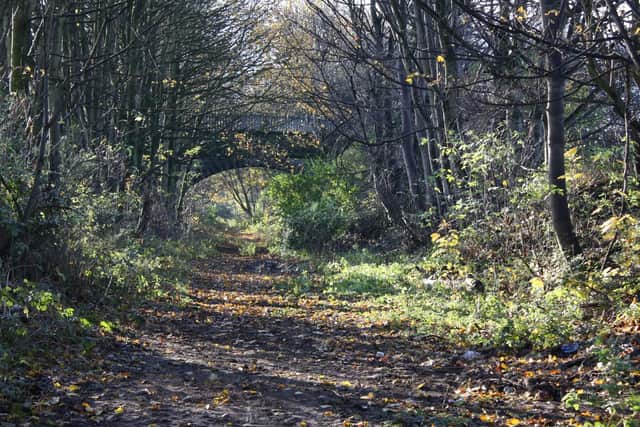 One of the possible routes the greenway could run along. Picture by The Elmet Greenway group.