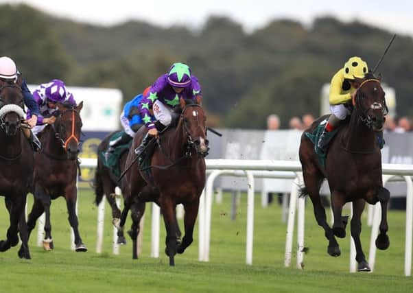 Laugh a Minute (far right), ridden by Andrea Atzeni, winning the Weatherbys Racing Bank 300,000 2-Y-O Stakes at last year's St Leger Festival. PIC: Mike Egerton/PA Wire