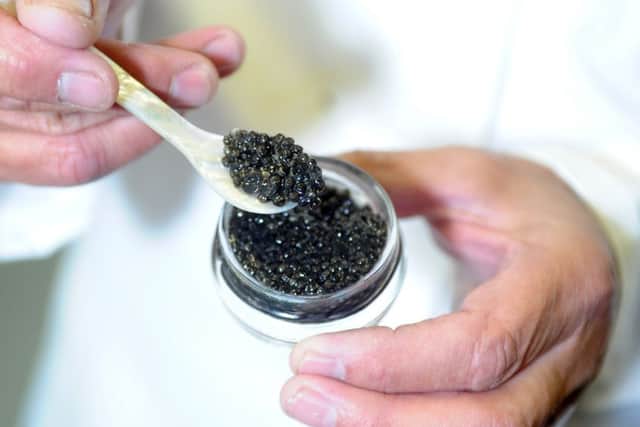 Some of the caviar.  Picture Tony Johnson.