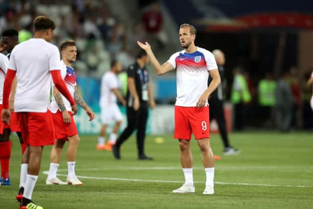 Harry Kane bats away midges and flies during the World Cup game against Tunisia. Photo: PA