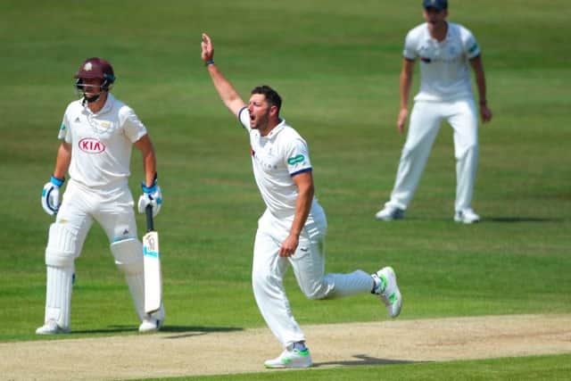 Yorkshire's Tim Bresnan appeals during day two of their match with Surrey at North Marine Road, Scarborough (Picture: Alex Whitehad/SWpix.com).