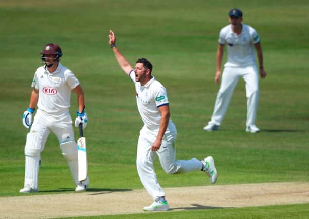 Yorkshire's Tim Bresnan appeals during day two of their match with Surrey at North Marine Road, Scarborough (Picture: Alex Whitehad/SWpix.com).