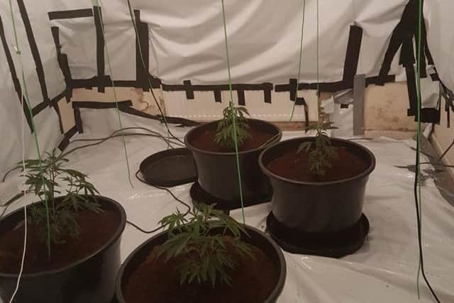 The cannabis farm in Leeds. Photo: West Yorkshire Police