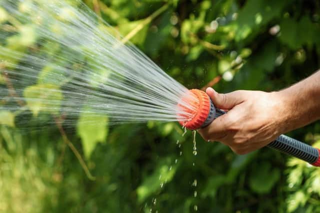 During a dry spell you should water your garden, including your lawn, either in the evening or first thing in the morning