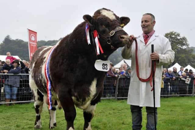 Nidderdale Show traditionally marks the end of the agricultural show season and features a fantastic display of the finest livestock, produce and crafts