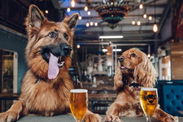 Dog parties will be held at BrewDog in Leeds