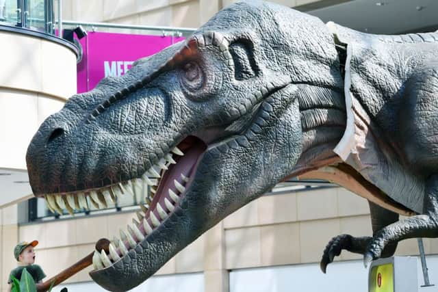 Henry from Leeds feeds the UKs largest animatronic T-Rex will be making its appearance at Trinity Leeds. 
Picture Jonathan Gawthorpe
