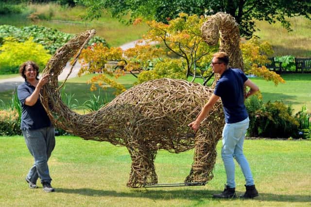 190718 Leilah Vyner from Dragon Willow (left) the maker of the willow Diplodocus manoeuvres the dinosaur into position at Harlow Carr gardens with James Allen of Harlow Carr Gardens ready for the Jurassic Discovery event starting sat for the school summer holidays .