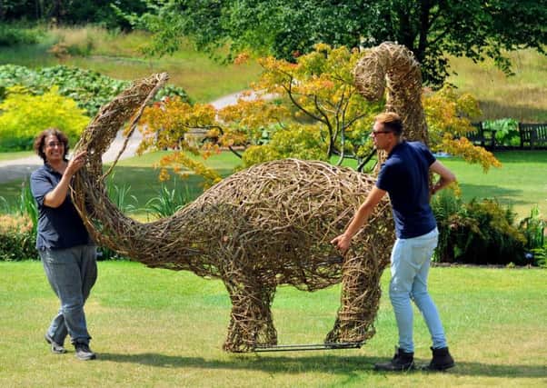 190718 Leilah Vyner from Dragon Willow (left) the maker of the willow Diplodocus  manoeuvres the dinosaur into position at Harlow Carr gardens with James Allen of Harlow Carr Gardens  ready for   the Jurassic Discovery event starting sat for the school summer holidays .