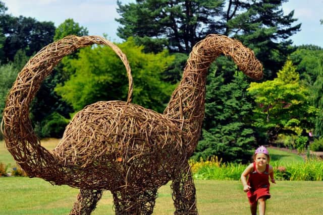 190718  Three-year-old Elise Hawes  from Harrogate  runs by a  willow Diplodocus  at Harlow Carr gardens  ready for   the Jurassic Discovery event starting sat for the school summer holidays .