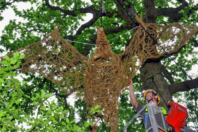 190718  James Moulstone from RHS Harlow Carr gardens  hangs a willow Pterodactyl from a 'cherry picker' in the tree tops   at Harlow Carr gardens  ready for   the Jurassic Discovery event starting sat for the school summer holidays .