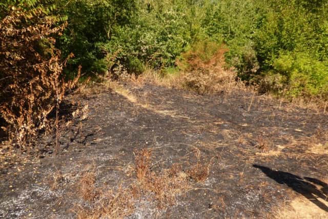 The unauthorised event, which resulted in the police being called, took place on part of Kirkstall Valley Nature Reserve.
