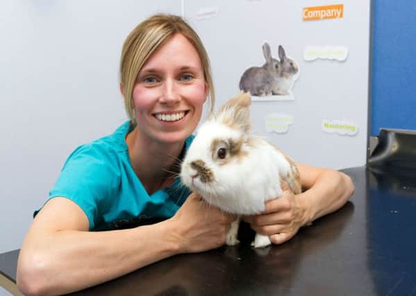 CARE: Veterinary nurse Sarah Ashlee with a rabbit at Calder Vets.
