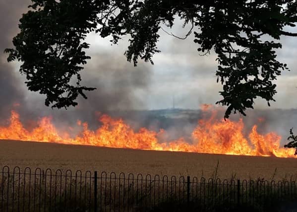 More than 600 square metres of crops have gone up in flames at fields near to Portobello estate and Sandal Castle.